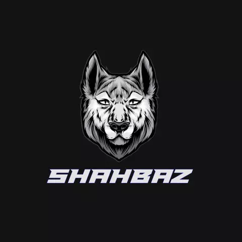 Name DP: shahbaz