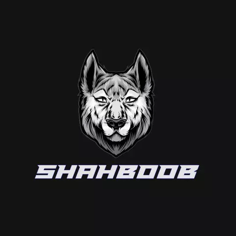 Name DP: shahboob