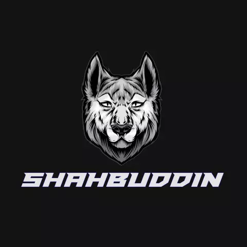 Name DP: shahbuddin