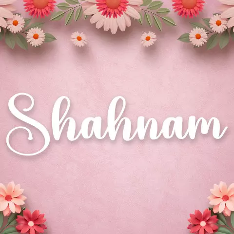 Name DP: shahnam