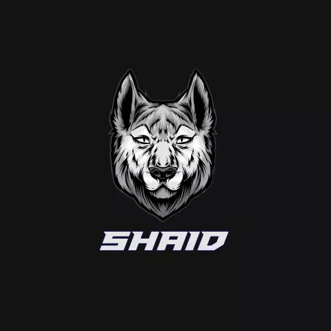 Name DP: shaid