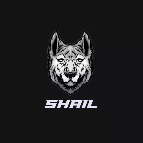 Name DP: shail