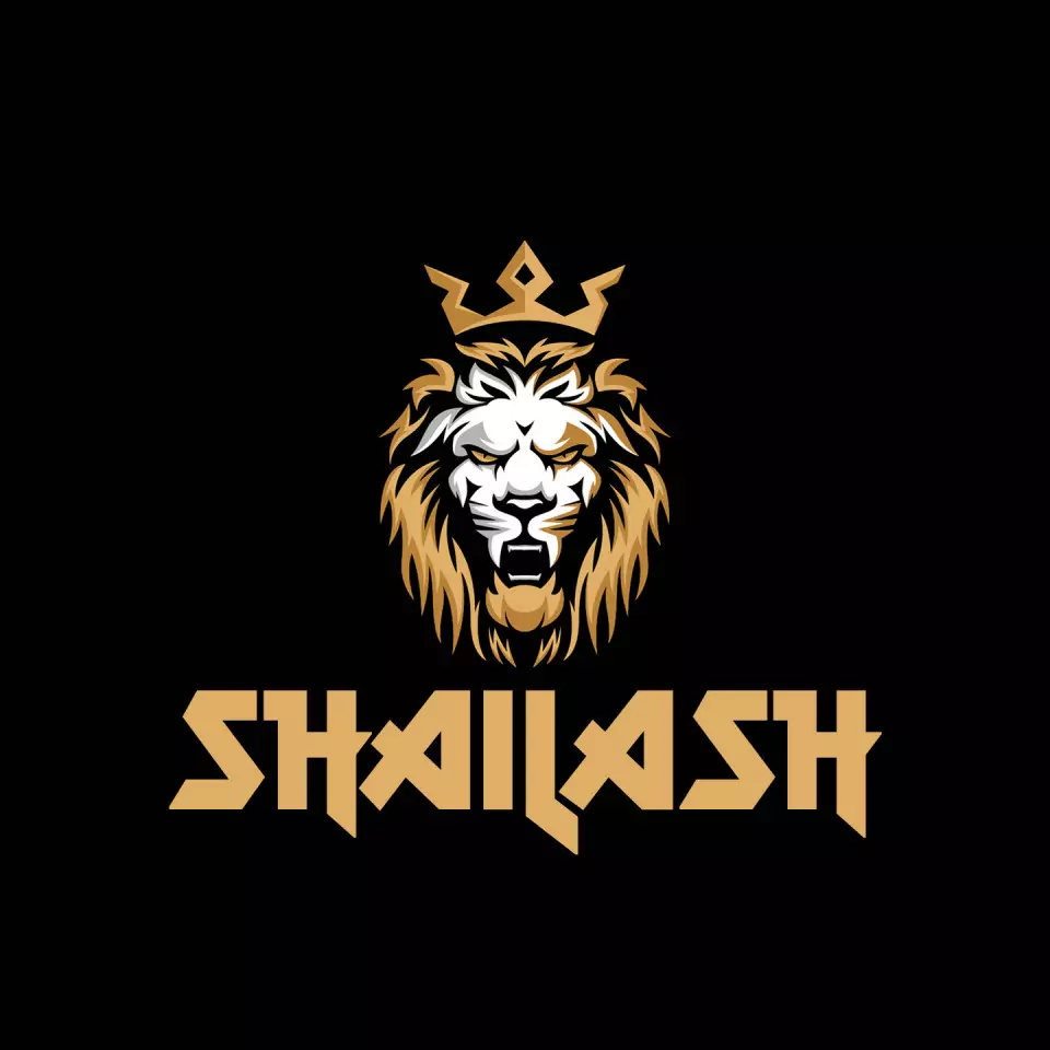 Name DP: shailash