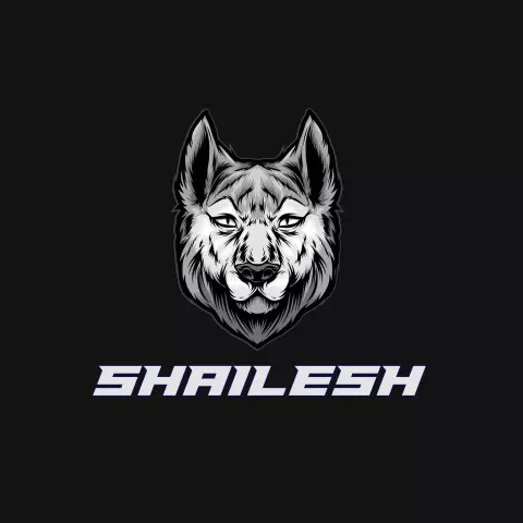 Name DP: shailesh