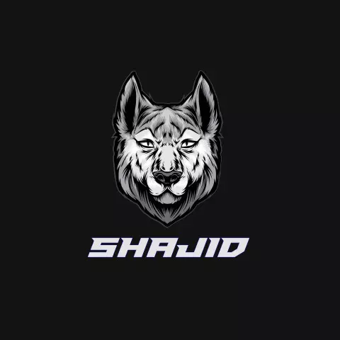 Name DP: shajid