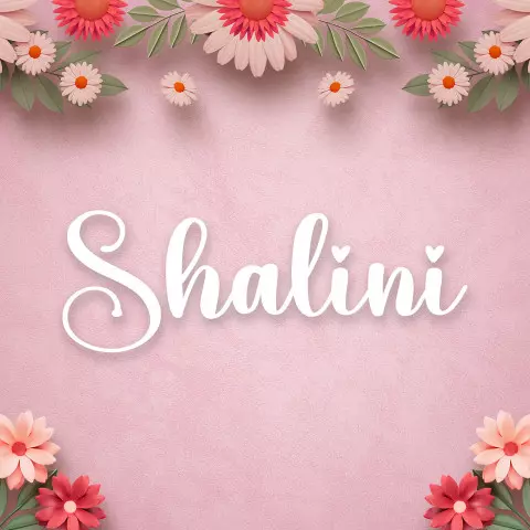 Name DP: shalini