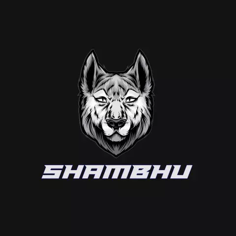 Name DP: shambhu