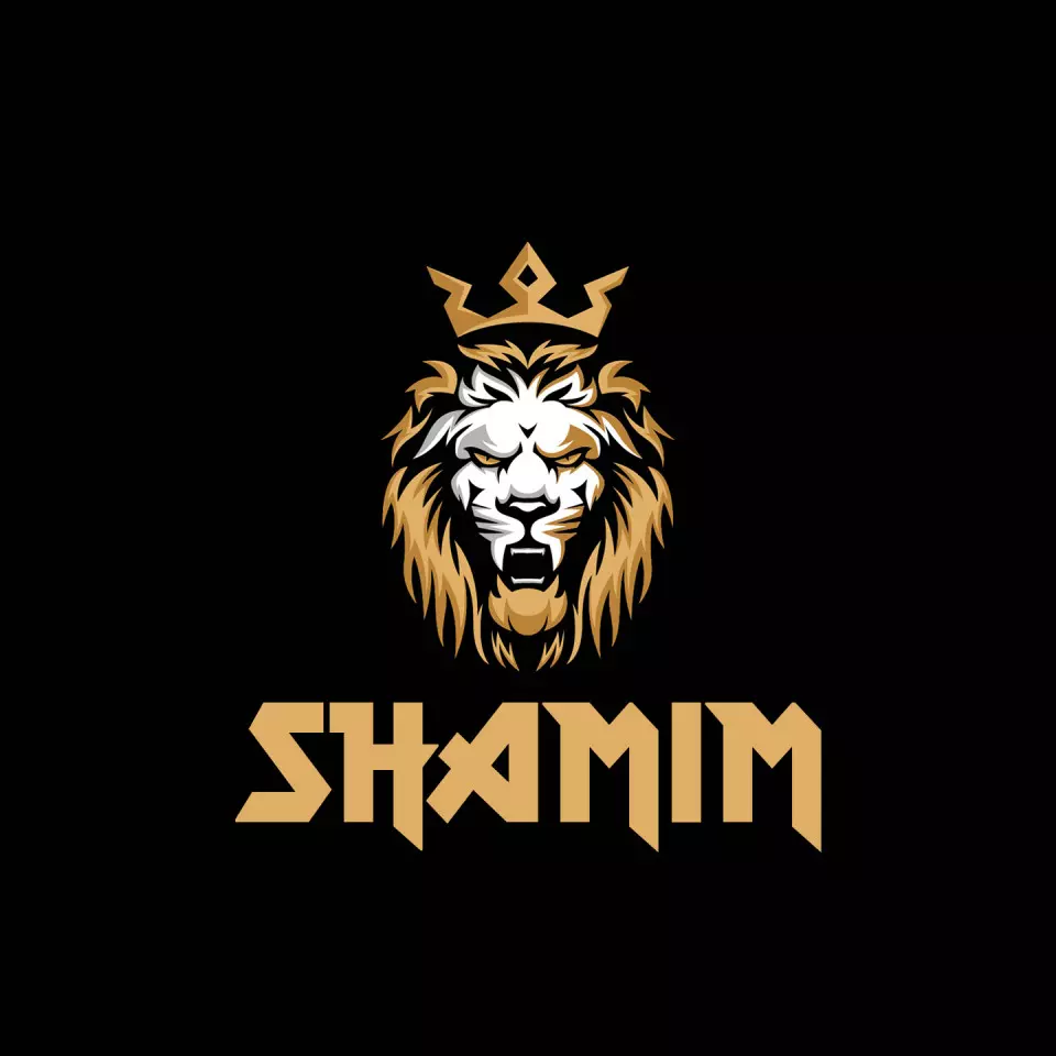 Name DP: shamim