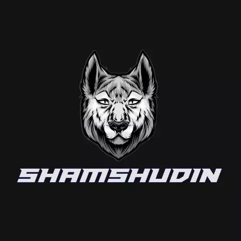 Name DP: shamshudin