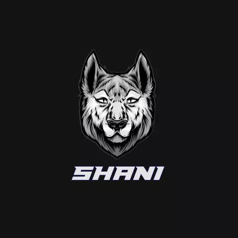 Name DP: shani