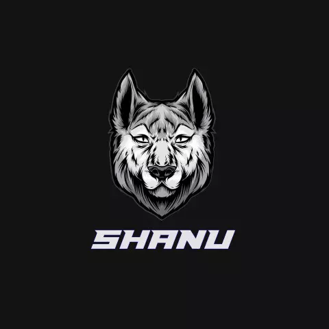 Name DP: shanu