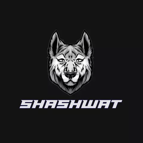 Name DP: shashwat