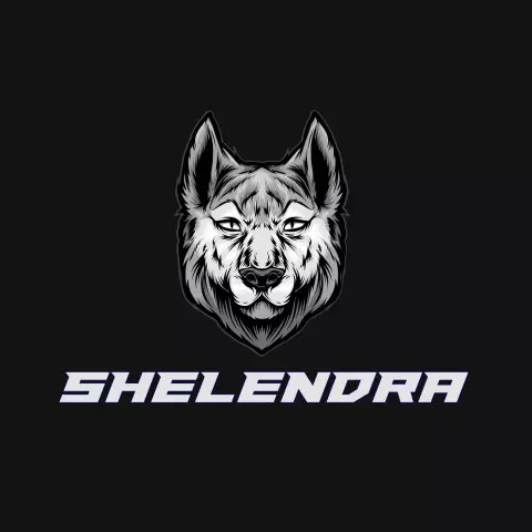 Name DP: shelendra