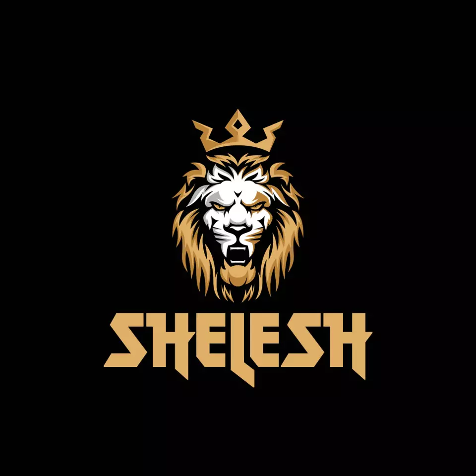 Name DP: shelesh