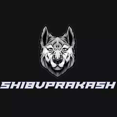 Name DP: shi8vprakash