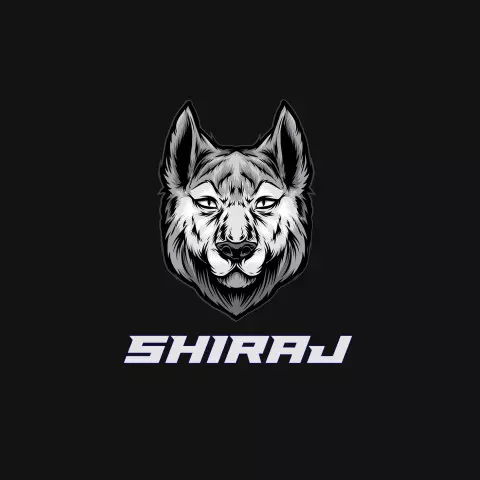 Name DP: shiraj