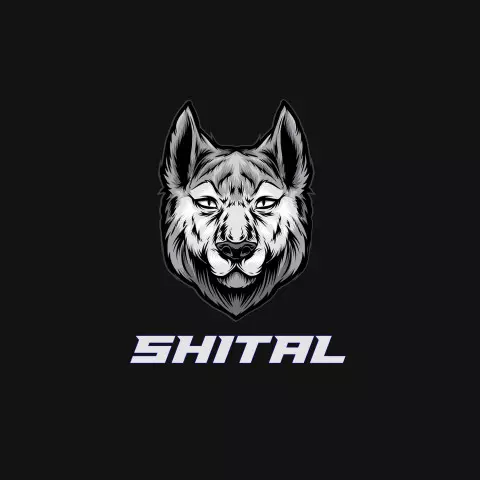 Name DP: shital