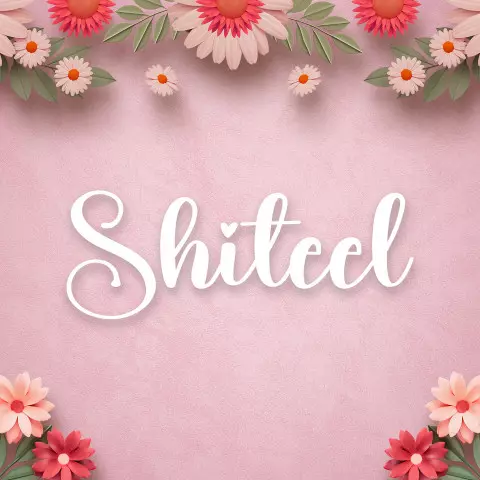 Name DP: shiteel