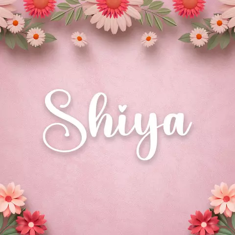 Name DP: shiya