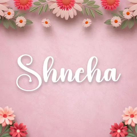 Name DP: shneha