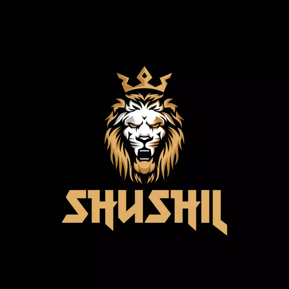 Name DP: shushil