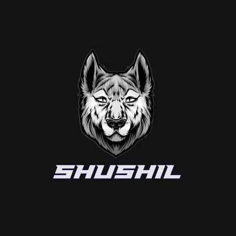 Name DP: shushil