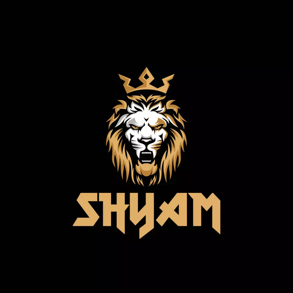 Name DP: shyam