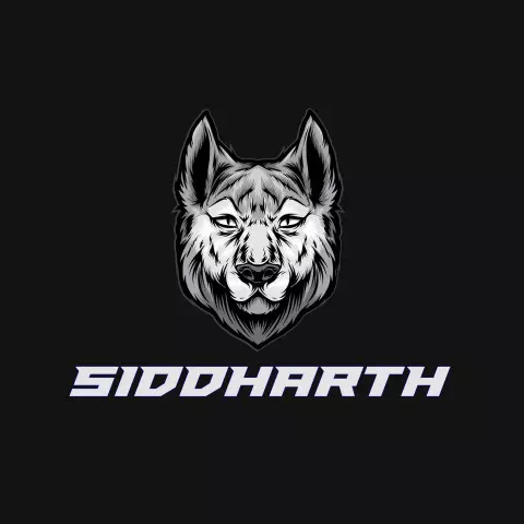 Name DP: siddharth