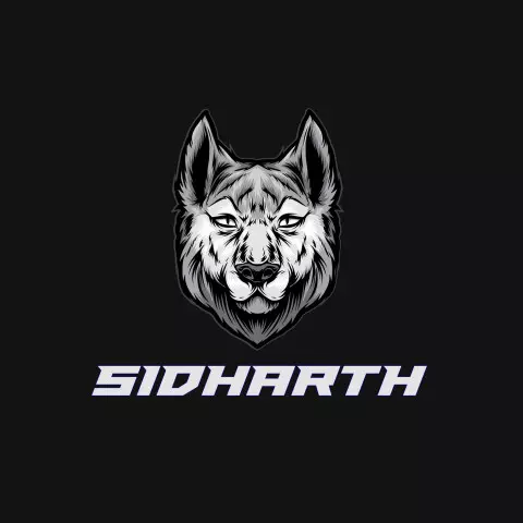Name DP: sidharth