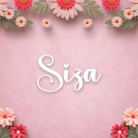 Name DP: siza
