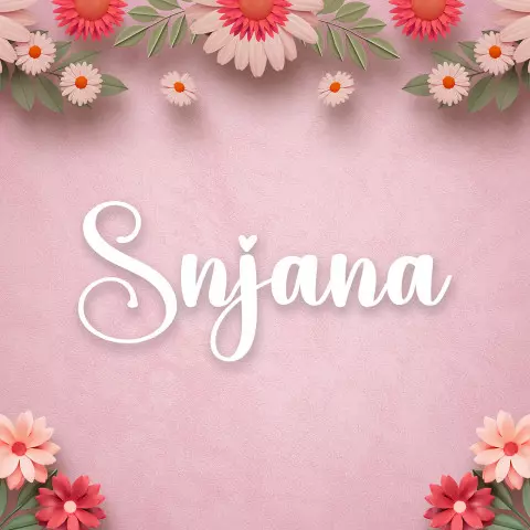 Name DP: snjana