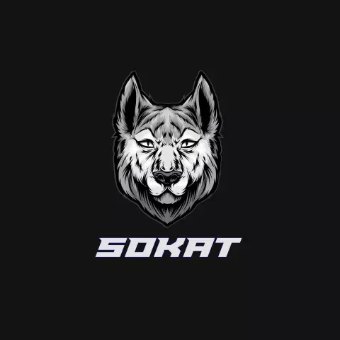 Name DP: sokat