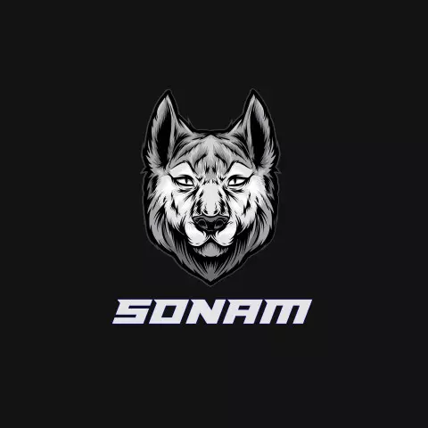 Name DP: sonam