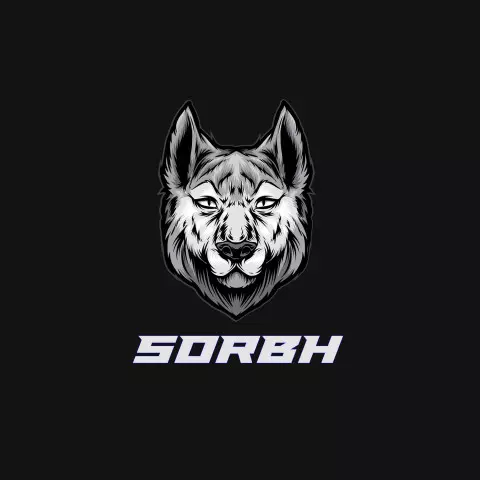 Name DP: sorbh