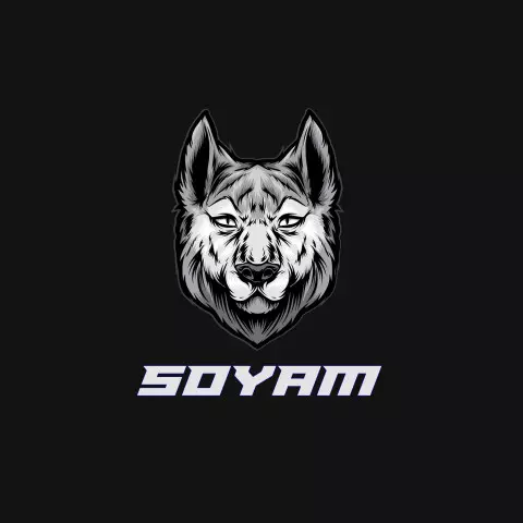 Name DP: soyam