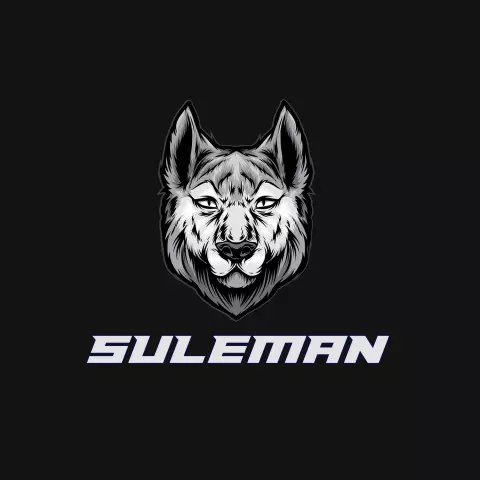 Name DP: suleman
