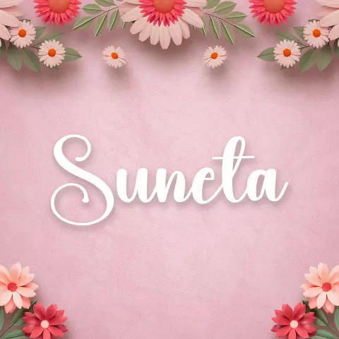 Name DP: suneta