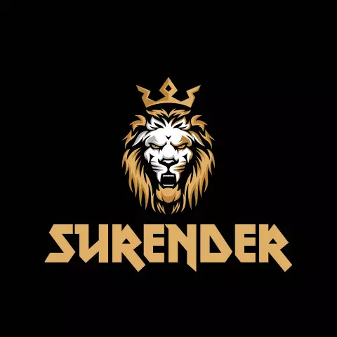 Name DP: surender