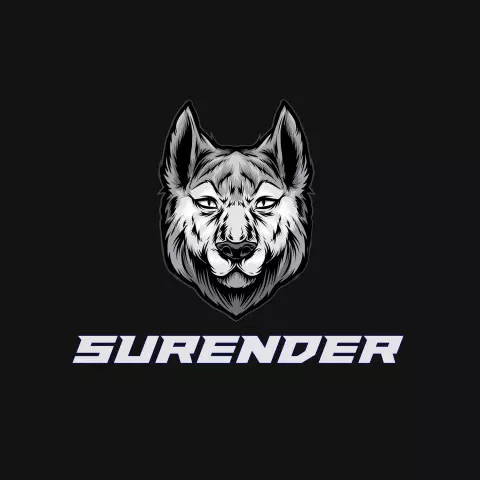 Name DP: surender