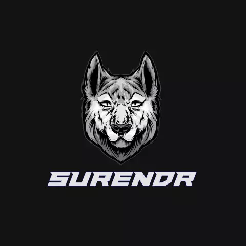 Name DP: surendr
