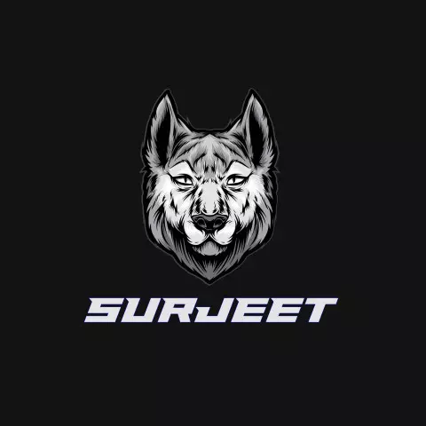 Name DP: surjeet