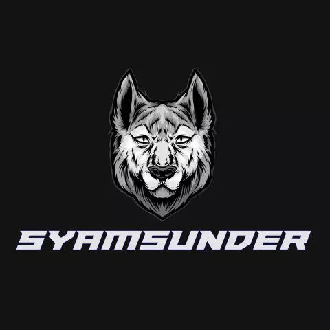 Name DP: syamsunder