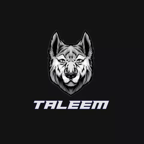 Name DP: taleem