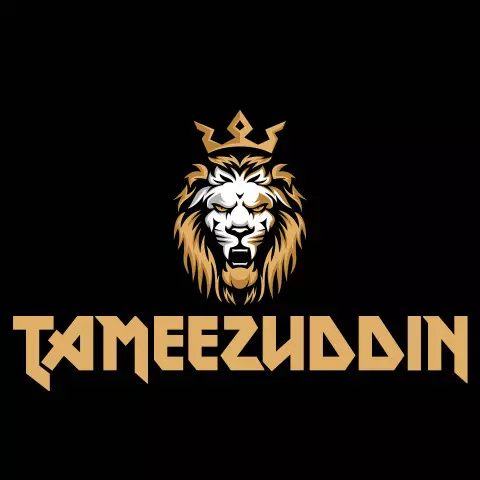 Name DP: tameezuddin