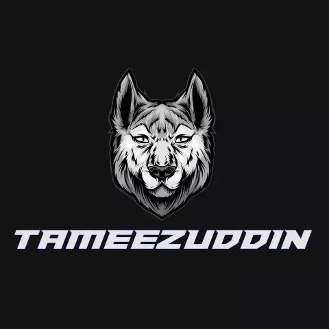 Name DP: tameezuddin