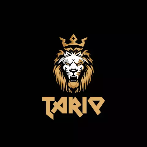 Name DP: tariq