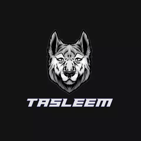 Name DP: tasleem