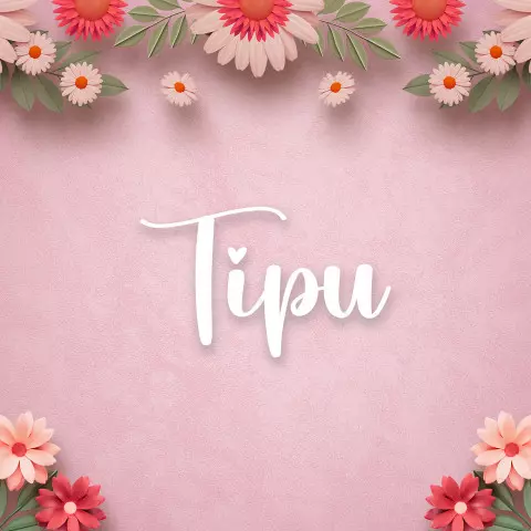 Name DP: tipu