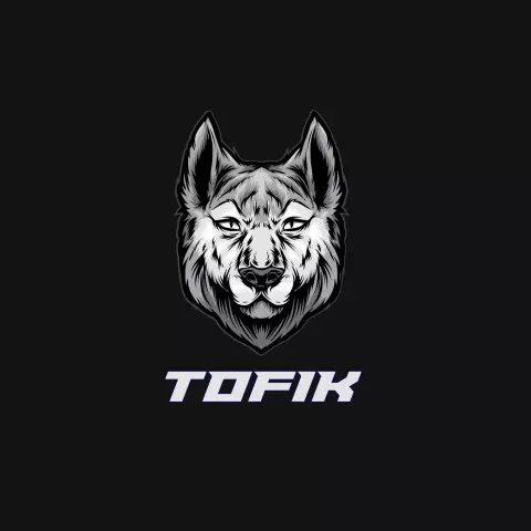 Name DP: tofik