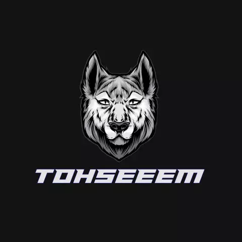 Name DP: tohseeem